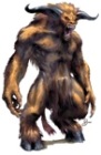 SARUS